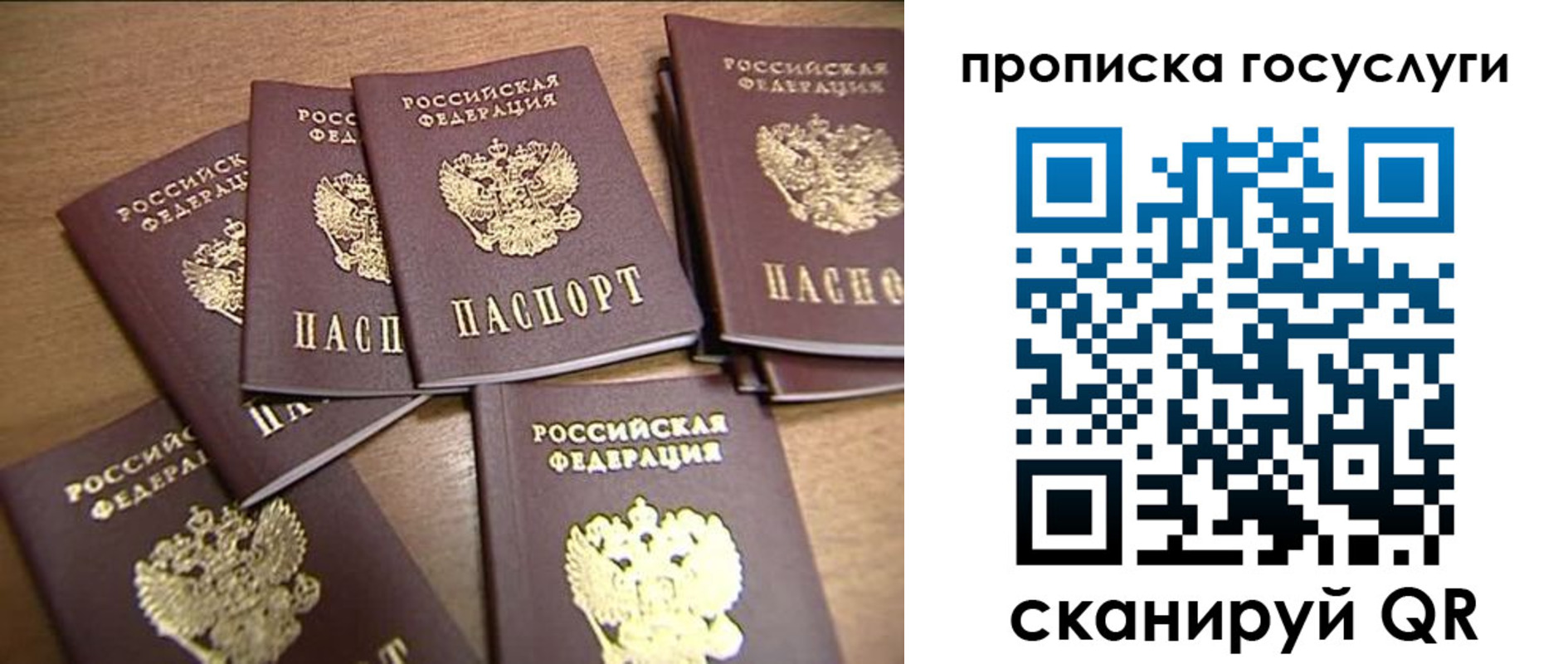 прописка ребенка в Торжоке